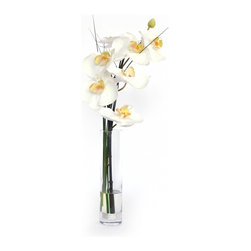 White Phalaenopsis Orchid Branch Bud Vase - Products