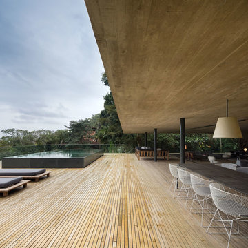 Jungle House