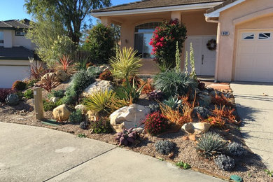 Design ideas for a southwestern landscaping in San Luis Obispo.