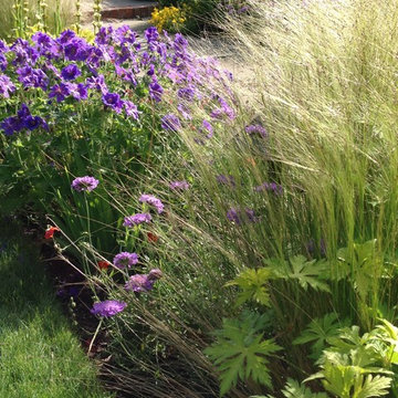 Award Winning Garden - Maintenance