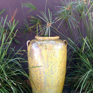 Drought-tolerant Mediterranean