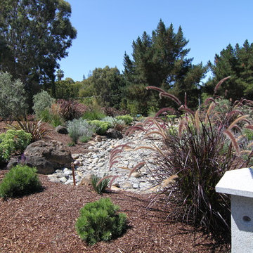 Los Altos Dry Creek Bed