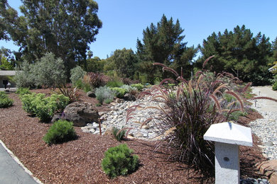 Design ideas for a landscaping in San Francisco.