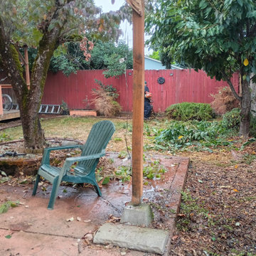 Outdoor Cleanup and Landscape Restoration