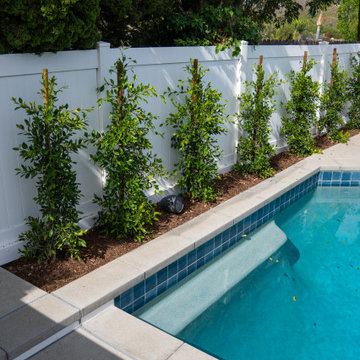 Green Wall Along the Waterline