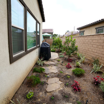 Background Remodel and Pavers Installation by Treeium Outdoor Living