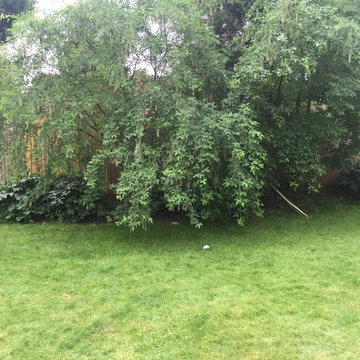 Maidenhead rear garden