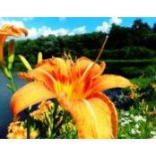 Debra Coolidge's photo