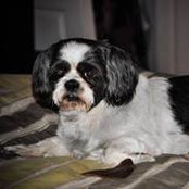 Andrea McGuffin's photo