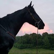 Dan Smock's photo