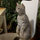 ofer_nitzan