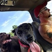 Aaron Bellinghausen's photo