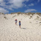 Tanya McWhirter's photo