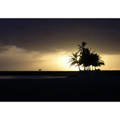 Russell Sutcliffe's photo