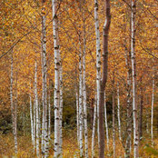 Photo de Michael Schop