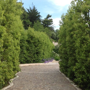 Giardino privato