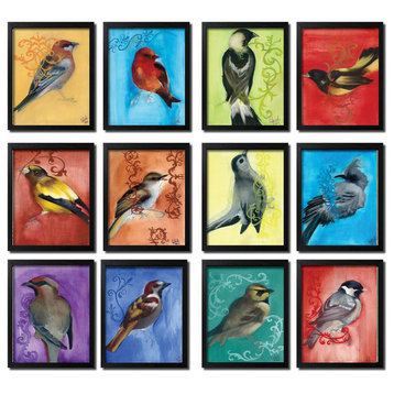 Colorful Framed Bird Study, Set of 12