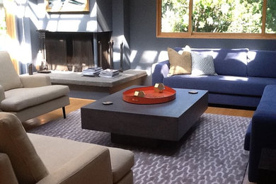 Example of a trendy living room design in Los Angeles