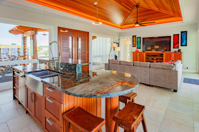 Home design - contemporary home design idea in Hawaii