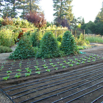 Vegetable gardens