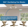 Burnett Collection Oscillating 3-Blade Ceiling Fan, Matte Black