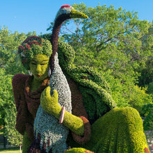 @ the world: gardens