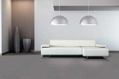 Living room - modern carpeted living room idea in Other