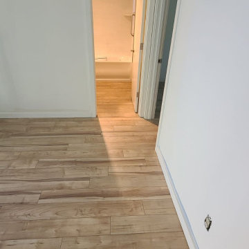 Audacity Laminate- Light Maple