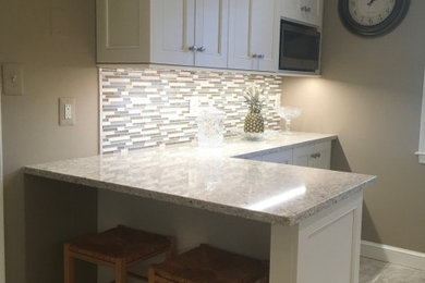 Kitchen - contemporary kitchen idea in DC Metro