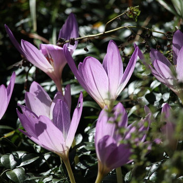 The Autumn Garden | Make it Alluring