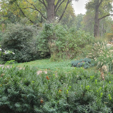 Prairie Village Prairie