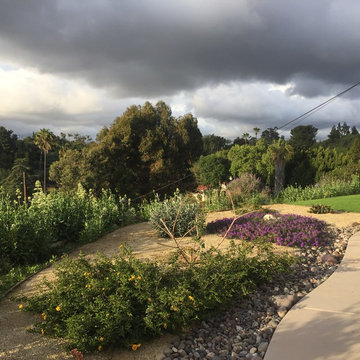 Drought Tolerant 2