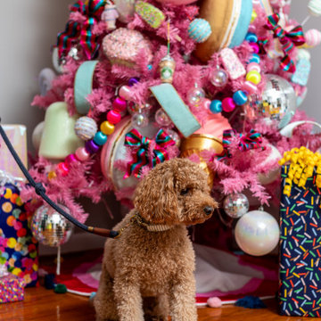 Holiday Decor - Colorland At The Jodie