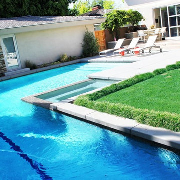 Contemporary Lap Pool