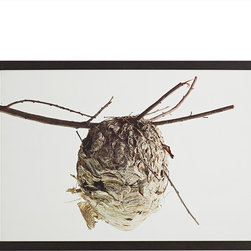HORNET NEST WALL ART &ndash; HIVE - Prints And Posters