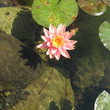 Water Features