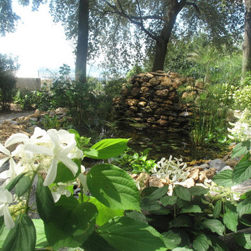 Villa Anna - Pietrasanta