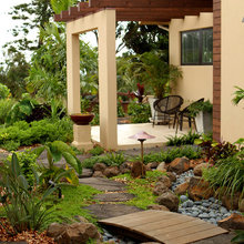 Backyard Cover