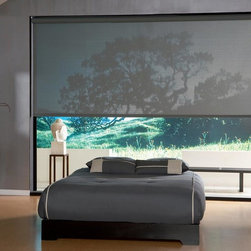 Solar Shades - Window Treatments