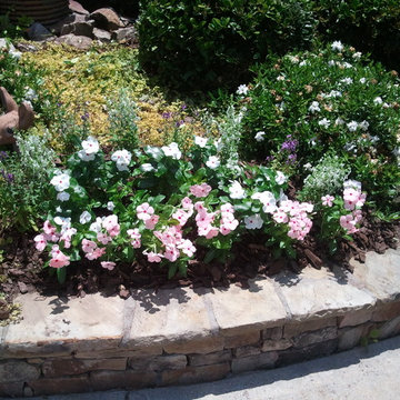 Annual Beds