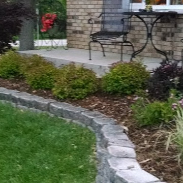 Japanese Maple