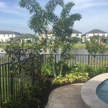 Lush Tropical Garden