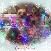Jennifer Stanoch's photo