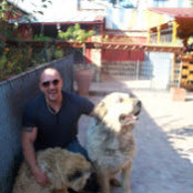 david hart's photo