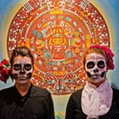 Sandra Zavala's photo