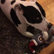 Tabitha Grier-Reed's photo