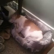 Keri Hill's photo