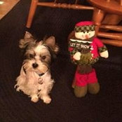 Cindy Parnell's photo