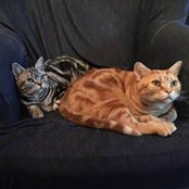 Foto von Nancy Feucht