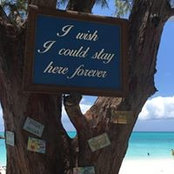 Lisa Wingo's photo